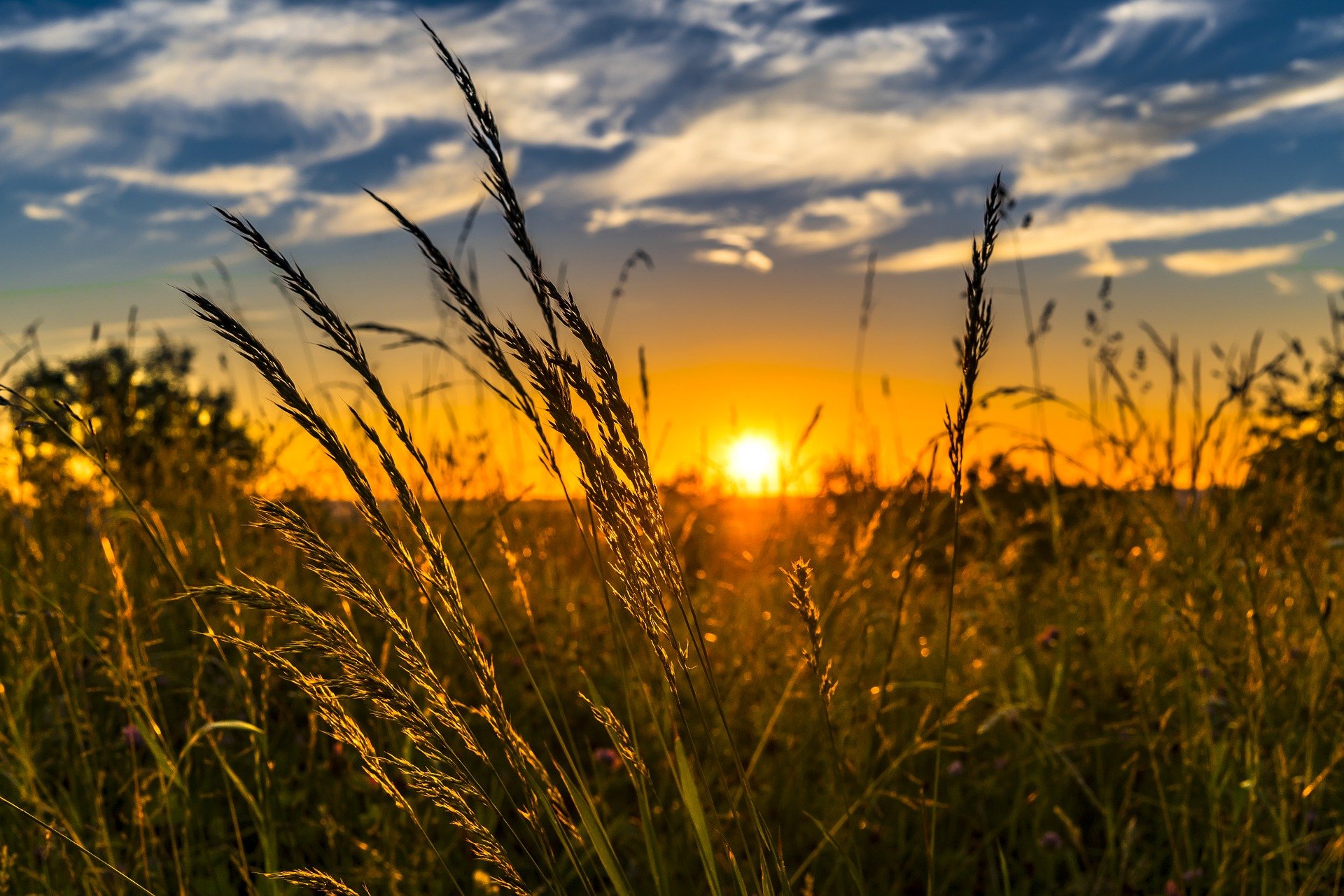 Photo of a sunset